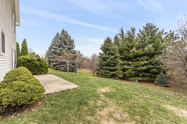 view of yard featuring a patio