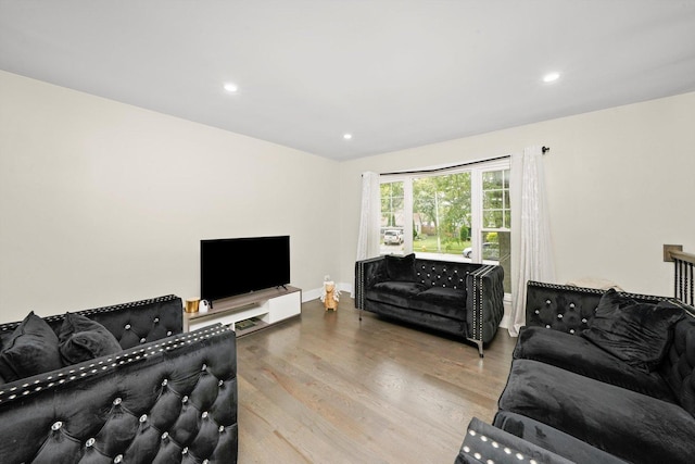 living room with hardwood / wood-style floors