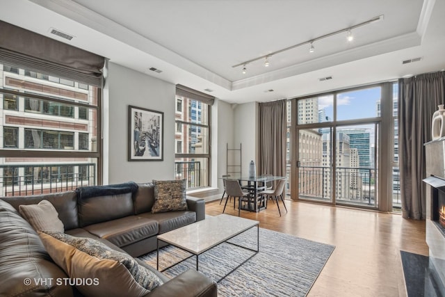 living room with a wealth of natural light and a raised ceiling