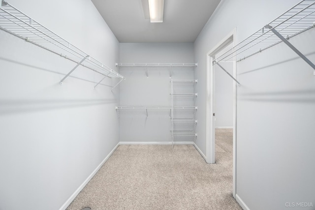 spacious closet with light carpet