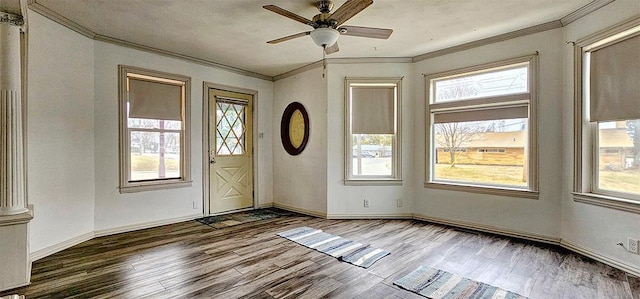 foyer with ceiling fan, ornamental molding, and hardwood / wood-style floors