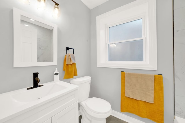 bathroom with toilet and vanity