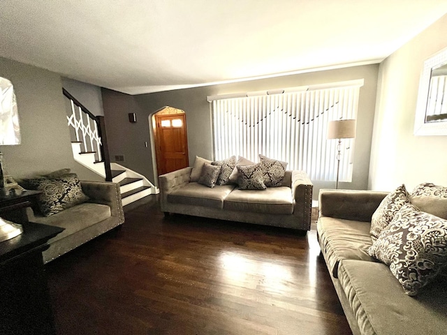 living room with dark wood-type flooring