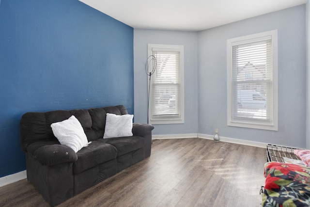 living area featuring wood-type flooring