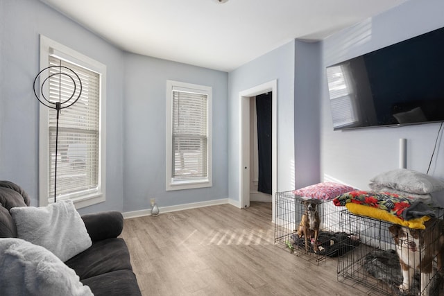 living room featuring light wood-type flooring