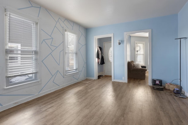 entryway featuring wood-type flooring