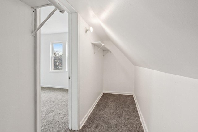 spacious closet featuring lofted ceiling and carpet flooring