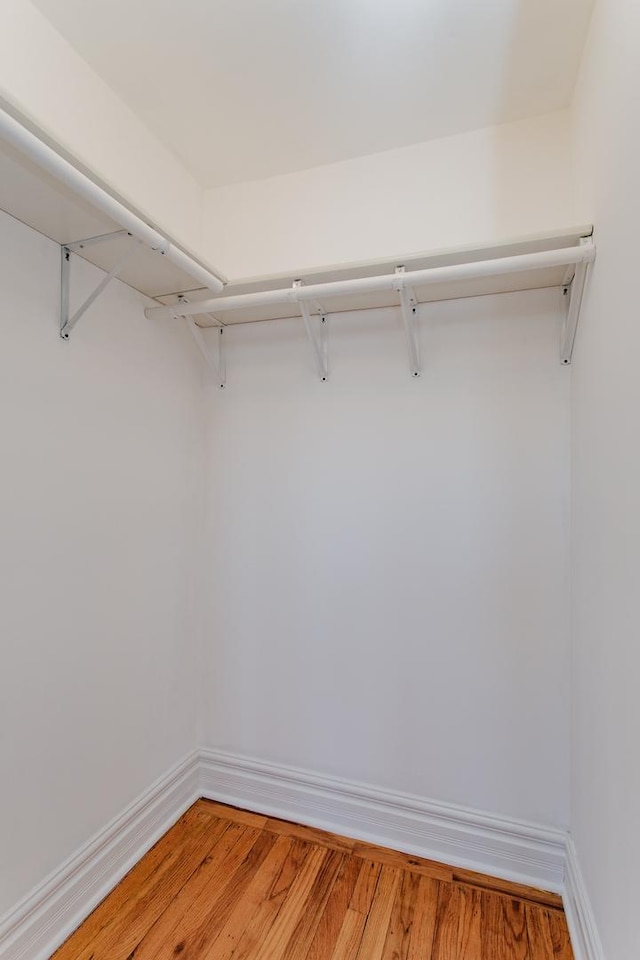 spacious closet featuring light wood-style floors