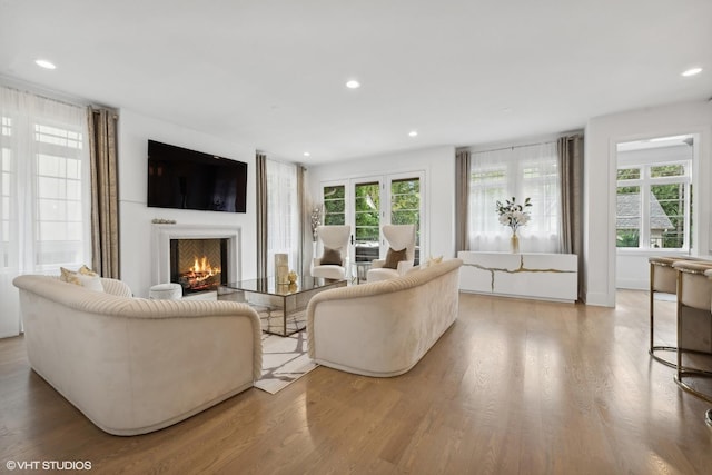 living room with light hardwood / wood-style flooring and a healthy amount of sunlight