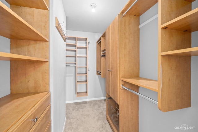 walk in closet with light carpet