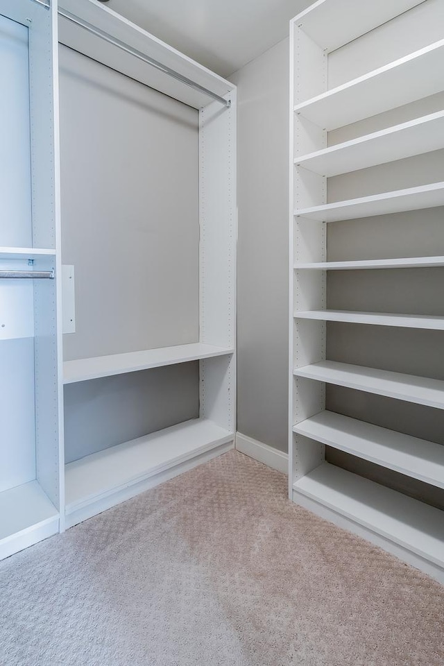 spacious closet featuring light colored carpet