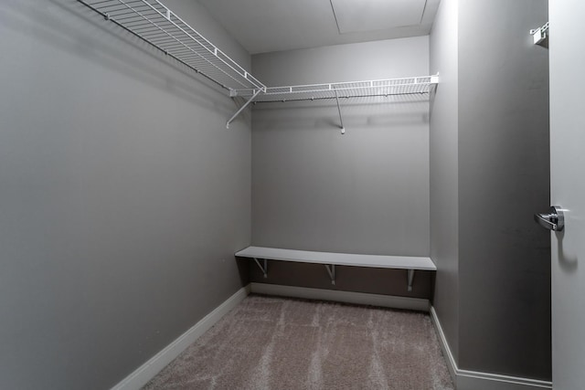 walk in closet featuring carpet