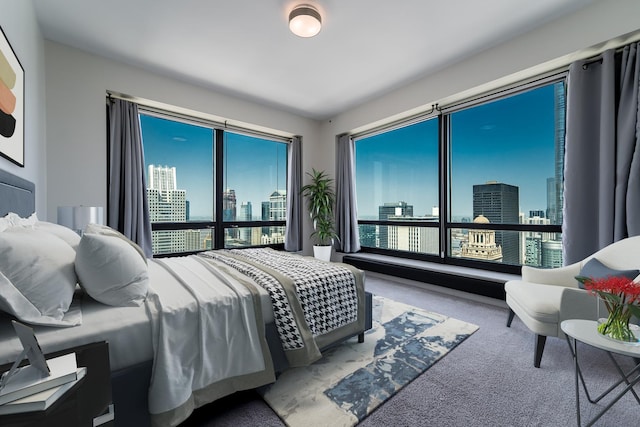 bedroom featuring carpet floors and multiple windows