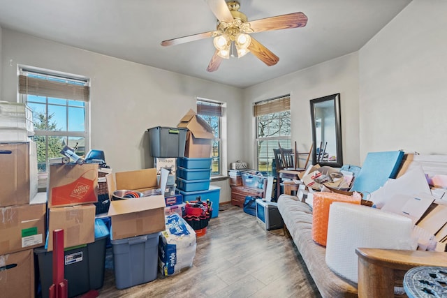 storage room featuring ceiling fan