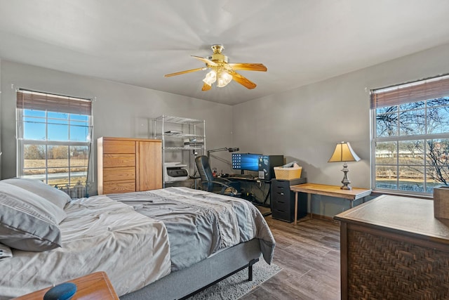 bedroom with ceiling fan, multiple windows, and wood-type flooring