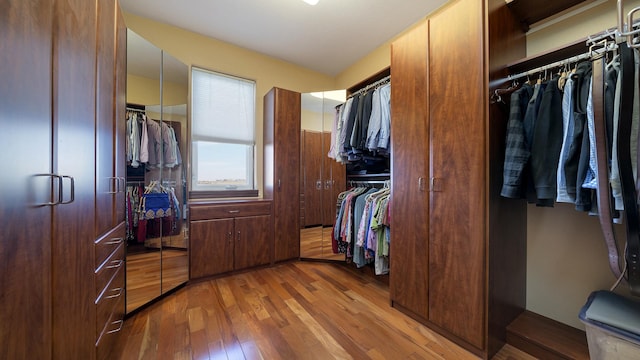 spacious closet with light hardwood / wood-style flooring