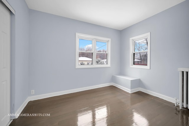 unfurnished room featuring dark wood-type flooring