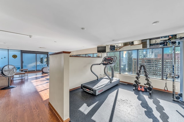 workout area featuring hardwood / wood-style flooring