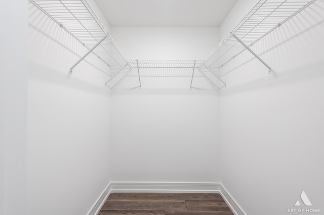 walk in closet with dark wood-type flooring