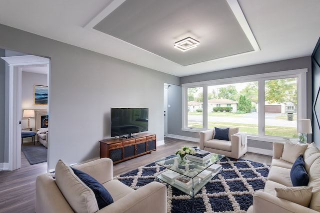 living room featuring wood-type flooring and a raised ceiling