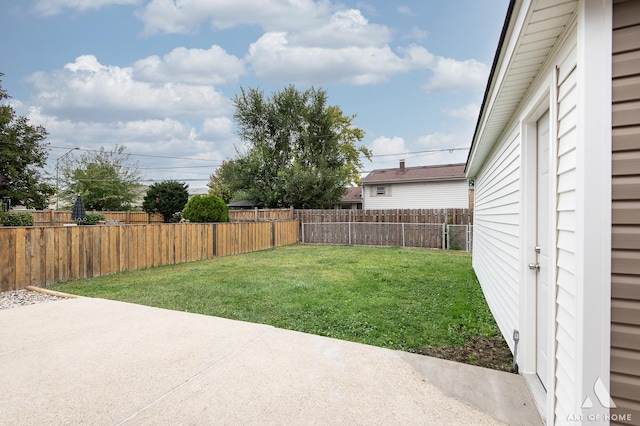 view of yard featuring a patio area