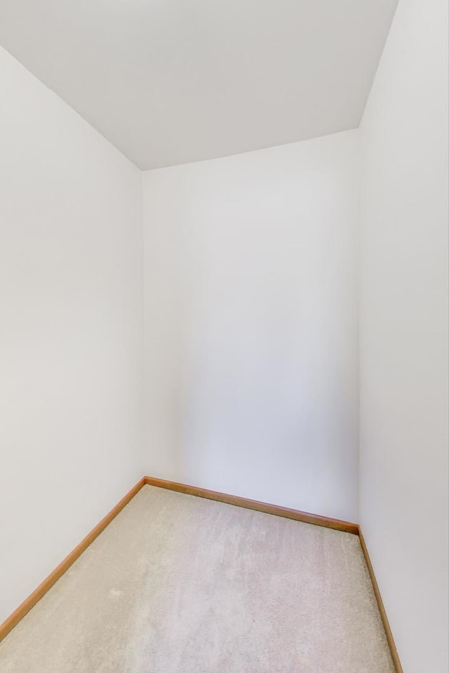 spare room with carpet flooring