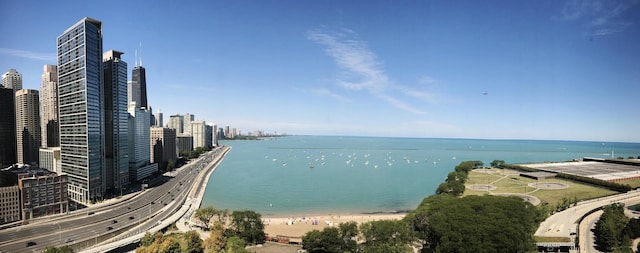 water view featuring a beach view