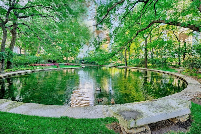 view of community with a water view