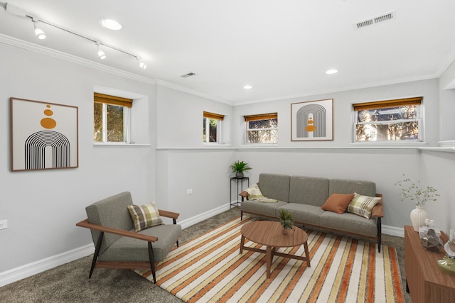 carpeted living room with ornamental molding and track lighting