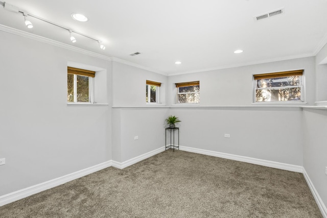 carpeted empty room featuring ornamental molding and rail lighting