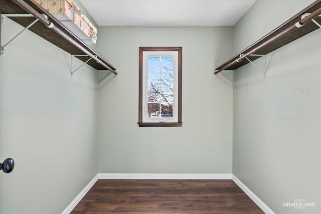 walk in closet featuring dark wood-type flooring