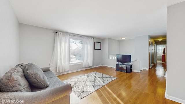 living room featuring hardwood / wood-style floors