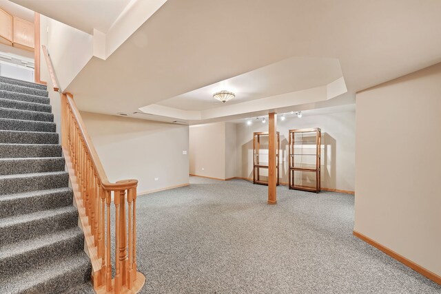 basement featuring carpet