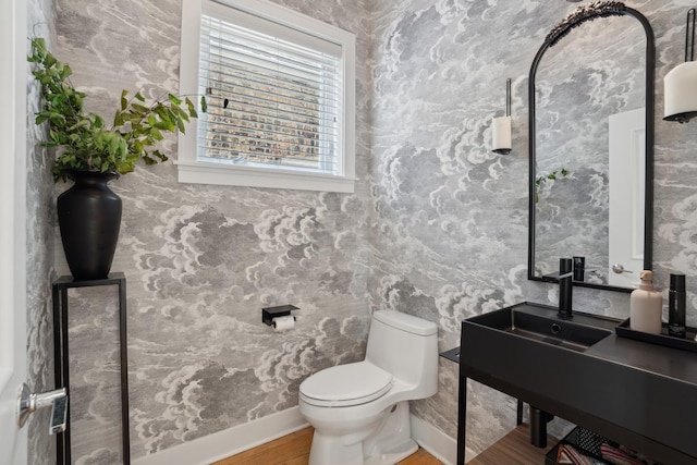 bathroom with toilet and hardwood / wood-style floors