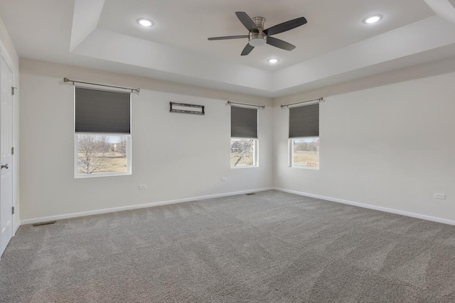 spare room featuring carpet floors, a wealth of natural light, and a raised ceiling