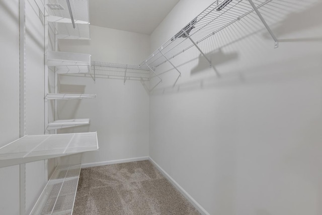 spacious closet featuring light colored carpet