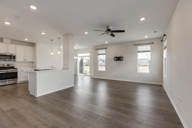 kitchen with dark hardwood / wood-style flooring, ceiling fan, white cabinets, and appliances with stainless steel finishes