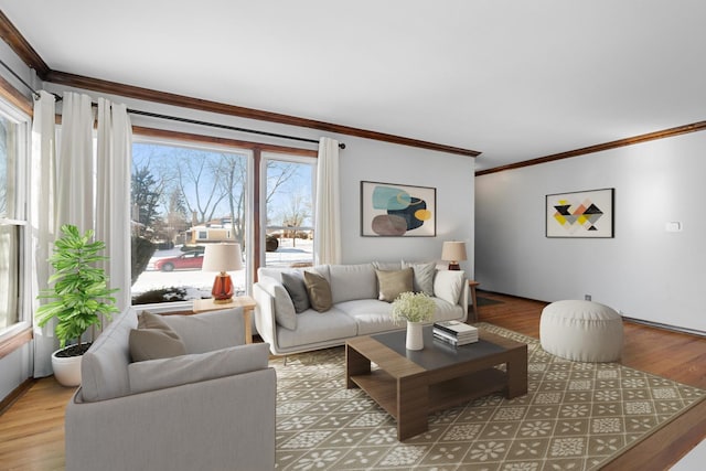 living room with crown molding and hardwood / wood-style floors