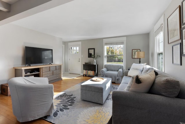 living room with light hardwood / wood-style flooring