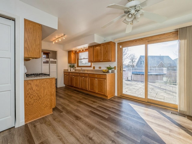 kitchen with ceiling fan, sink, and dark hardwood / wood-style flooring