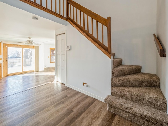 stairs with hardwood / wood-style flooring and ceiling fan