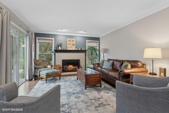 living room with ornamental molding, a fireplace, and light hardwood / wood-style flooring