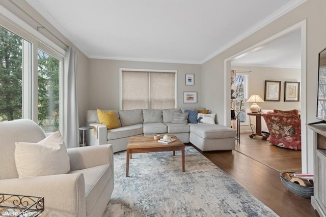 living room featuring ornamental molding and hardwood / wood-style floors