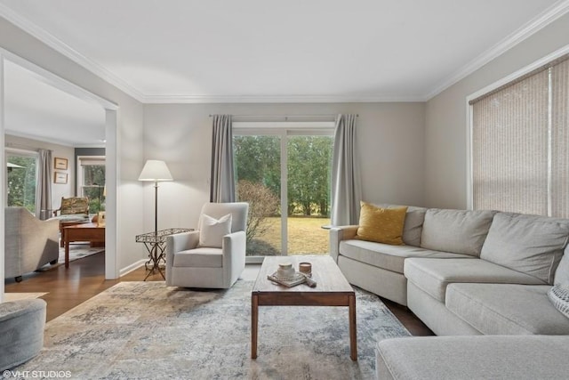 living room featuring crown molding and dark hardwood / wood-style flooring