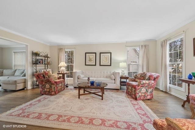 living room featuring hardwood / wood-style floors and crown molding