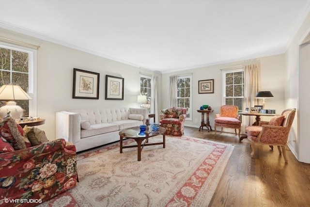 living room with wood-type flooring and ornamental molding