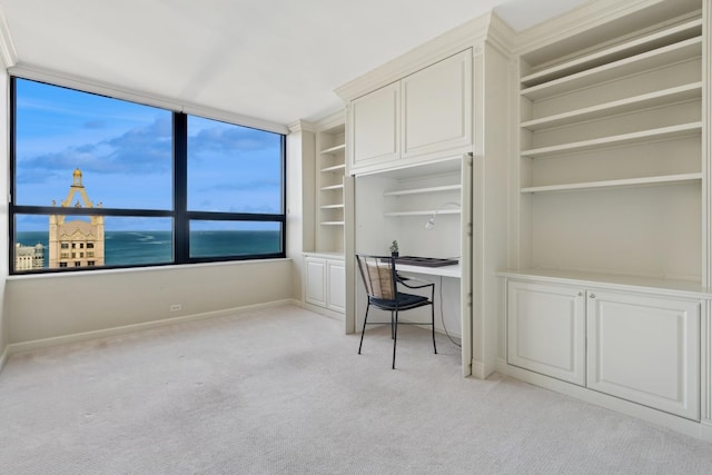 unfurnished office with light colored carpet and built in shelves