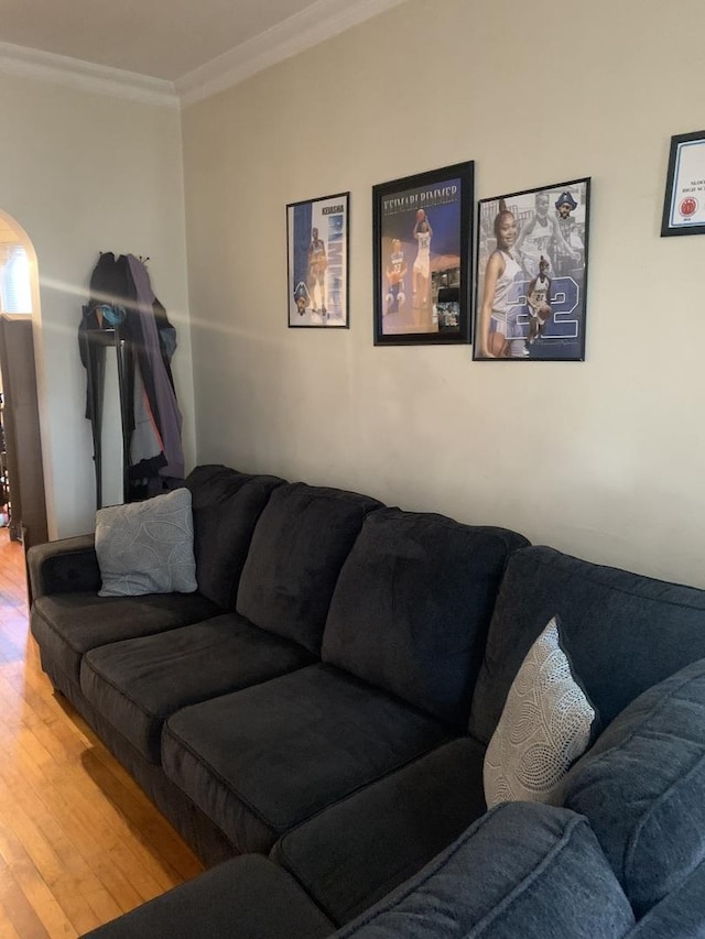 living room with crown molding and hardwood / wood-style flooring