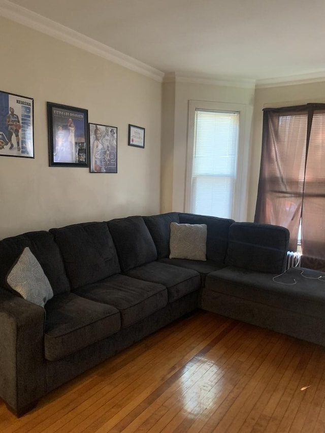 living room with crown molding and light wood-type flooring