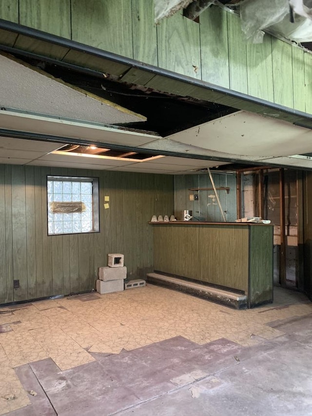 basement with wooden walls